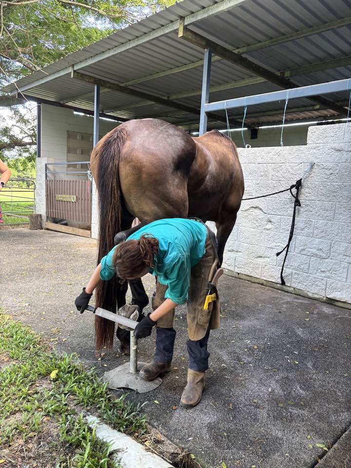 Sarah trimming a horse's hoof on the Mid North Coast